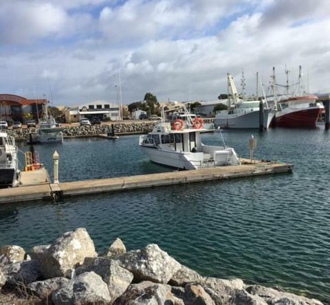 Port Lincoln Shark Apartment 3 Eksteriør bilde